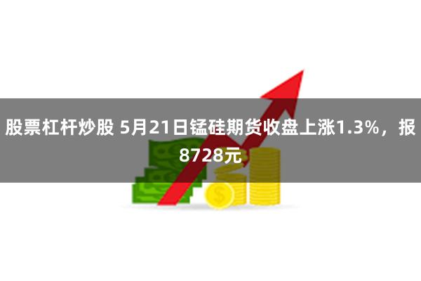 股票杠杆炒股 5月21日锰硅期货收盘上涨1.3%，报8728元