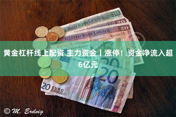 黄金杠杆线上配资 主力资金丨涨停！资金净流入超6亿元