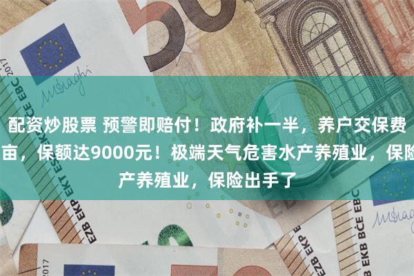 配资炒股票 预警即赔付！政府补一半，养户交保费270元/亩，保额达9000元！极端天气危害水产养殖业，保险出手了