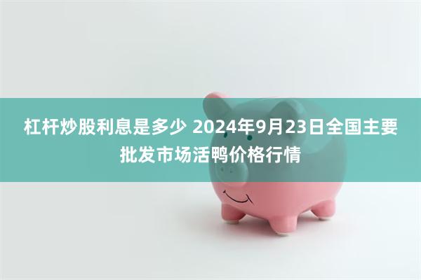 杠杆炒股利息是多少 2024年9月23日全国主要批发市场活鸭价格行情