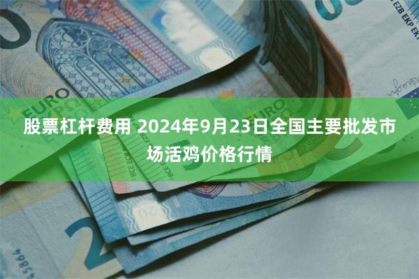 股票杠杆费用 2024年9月23日全国主要批发市场活鸡价格行情