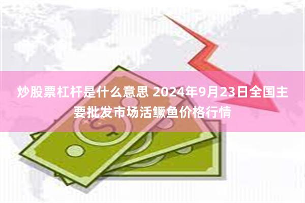 炒股票杠杆是什么意思 2024年9月23日全国主要批发市场活鳜鱼价格行情