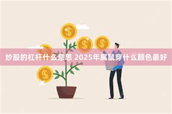 炒股的杠杆什么意思 2025年属鼠穿什么颜色最好