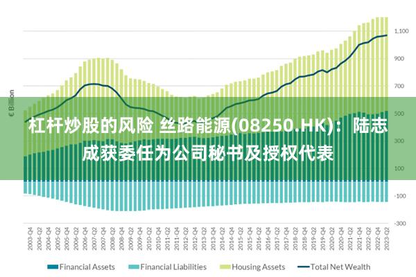 杠杆炒股的风险 丝路能源(08250.HK)：陆志成获委任为公司秘书及授权代表