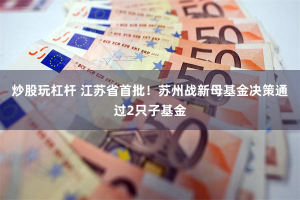 炒股玩杠杆 江苏省首批！苏州战新母基金决策通过2只子基金