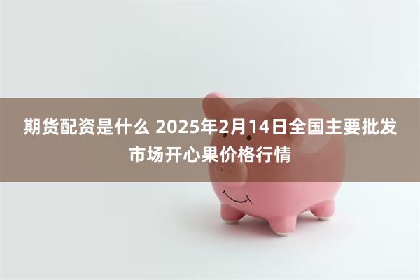 期货配资是什么 2025年2月14日全国主要批发市场开心果价格行情